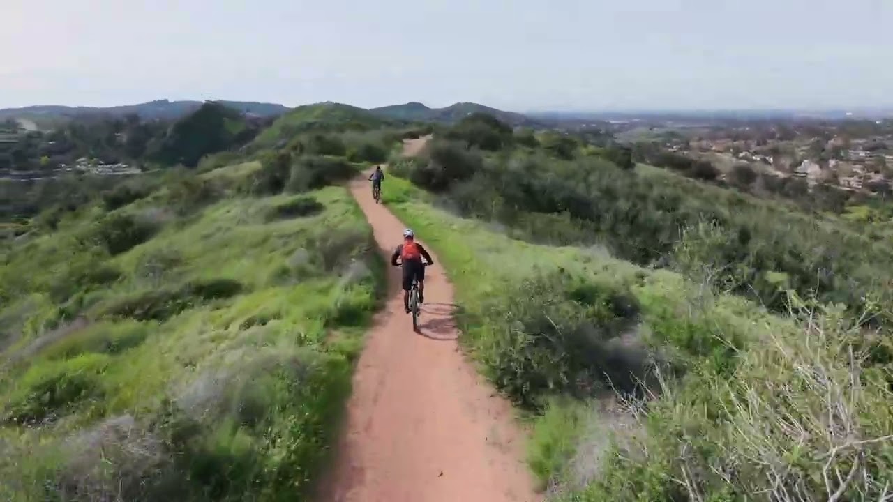 Peralta DH 