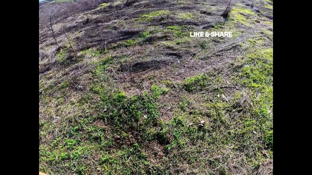 Reguli de bună conduită în natură, detecție de metale. Astupă Gaura!!!
