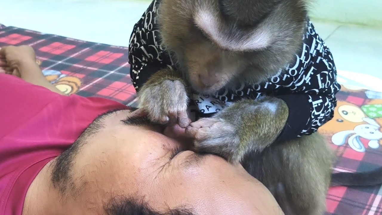 Dr. Bela Try Extraction Acne From Nose Stuck Finger Reaction