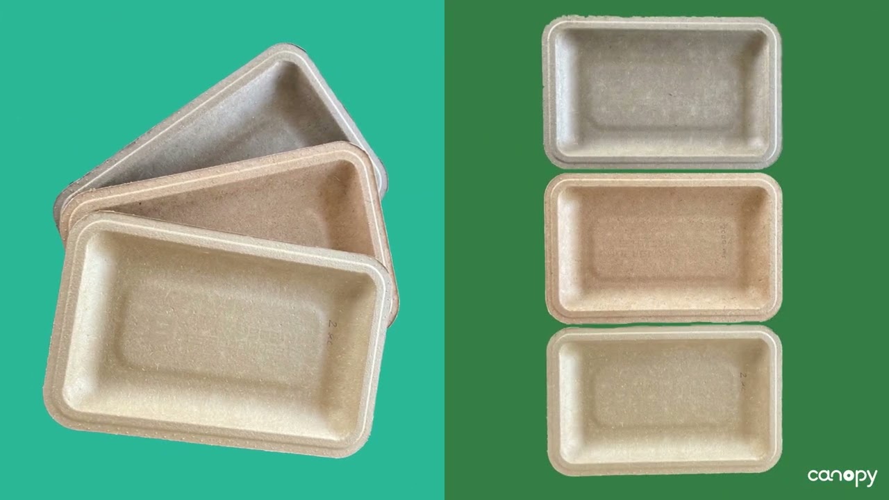 Fibers365: Using hemp and flax to make paper packaging