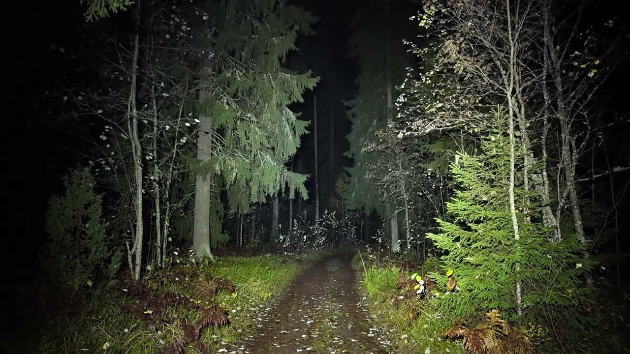 Armytek Wizard C2 Pro Max LR Finland Limited Edition 4150lm headlamp