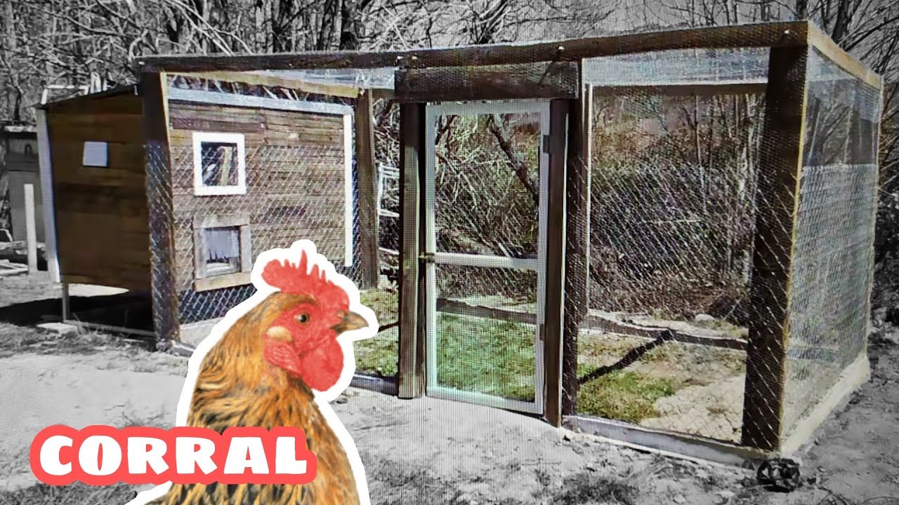 CORRAL para gallinas
