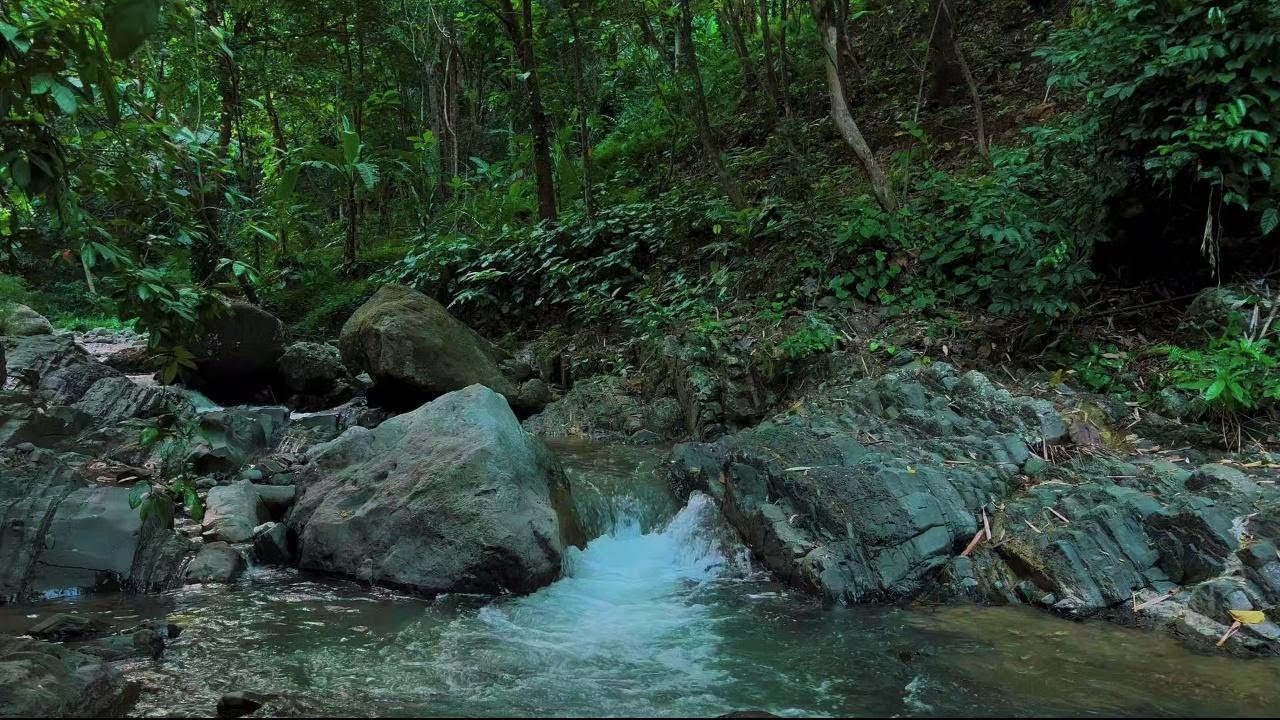 4K-HDR | Therapeutic River Flow Sounds for Sleep and Healing | Deep Relaxing Nature Water Ambience