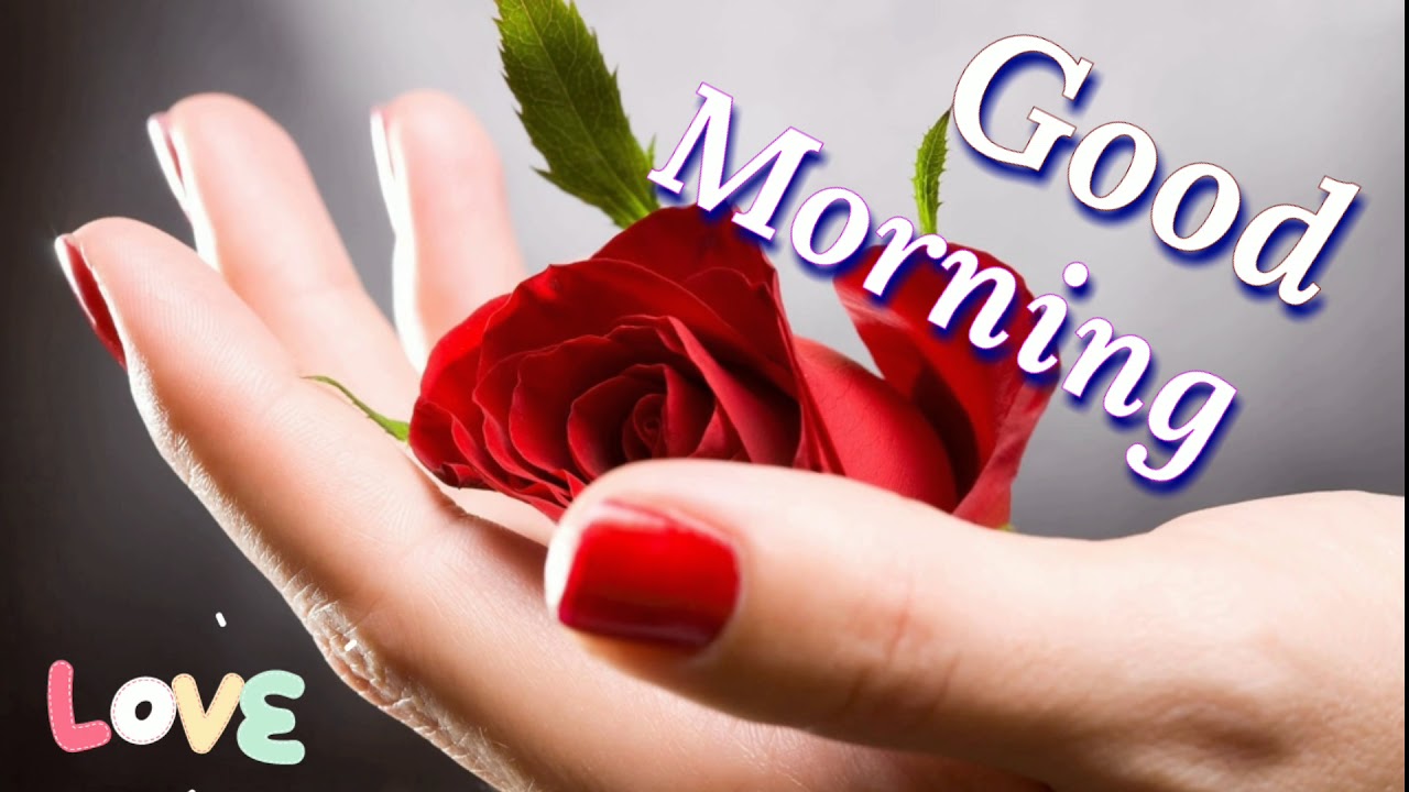 Good morning video - whatsapp status, Greetings, wishes, quotes, Beautiful massage, status