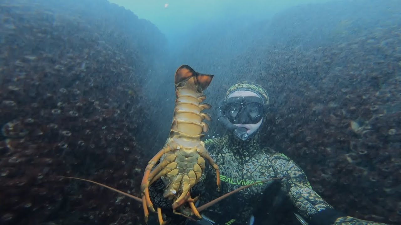 SPEARFISHING & LOBSTER DIVING NSW SOUTH COAST 4