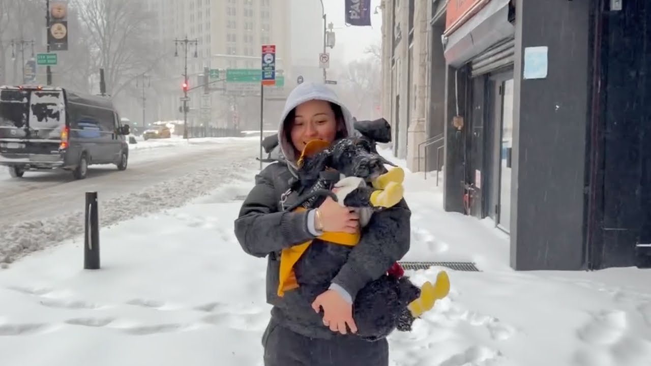 somewhere between | january wrap up: snowy weekends in nyc!