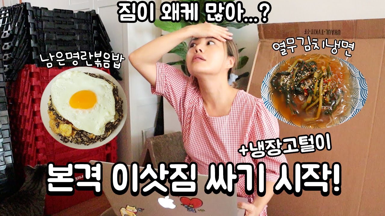 시작된 이삿짐 싸기, 이사 전 냉장고털기 + 올영세일!