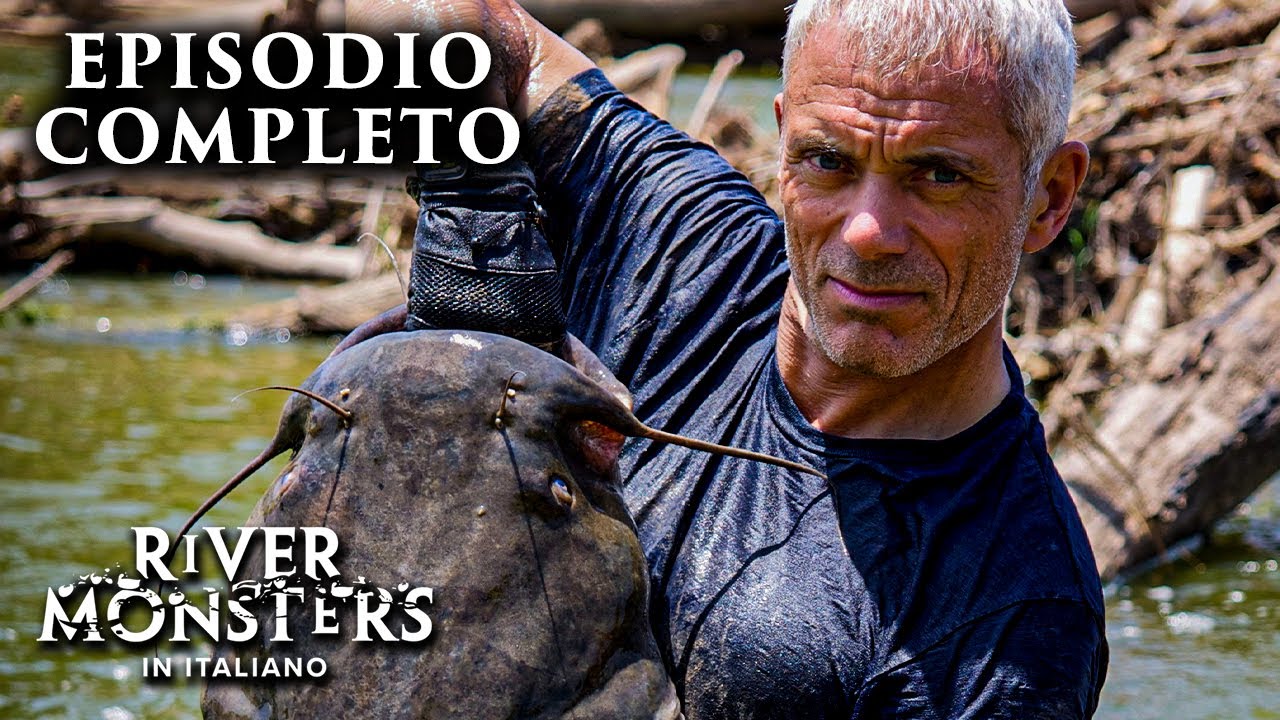 🐟Jeremy Wade Cattura Questo Enorme PESCE GATTO A MANI NUDE! 😱 - River Monsters ITA