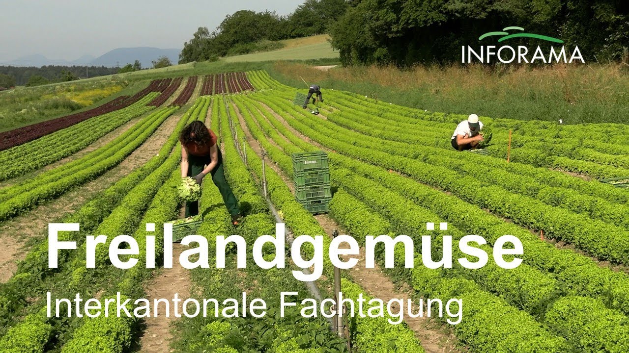 Interkantonale Fachtagung Freilandgem&uuml;se