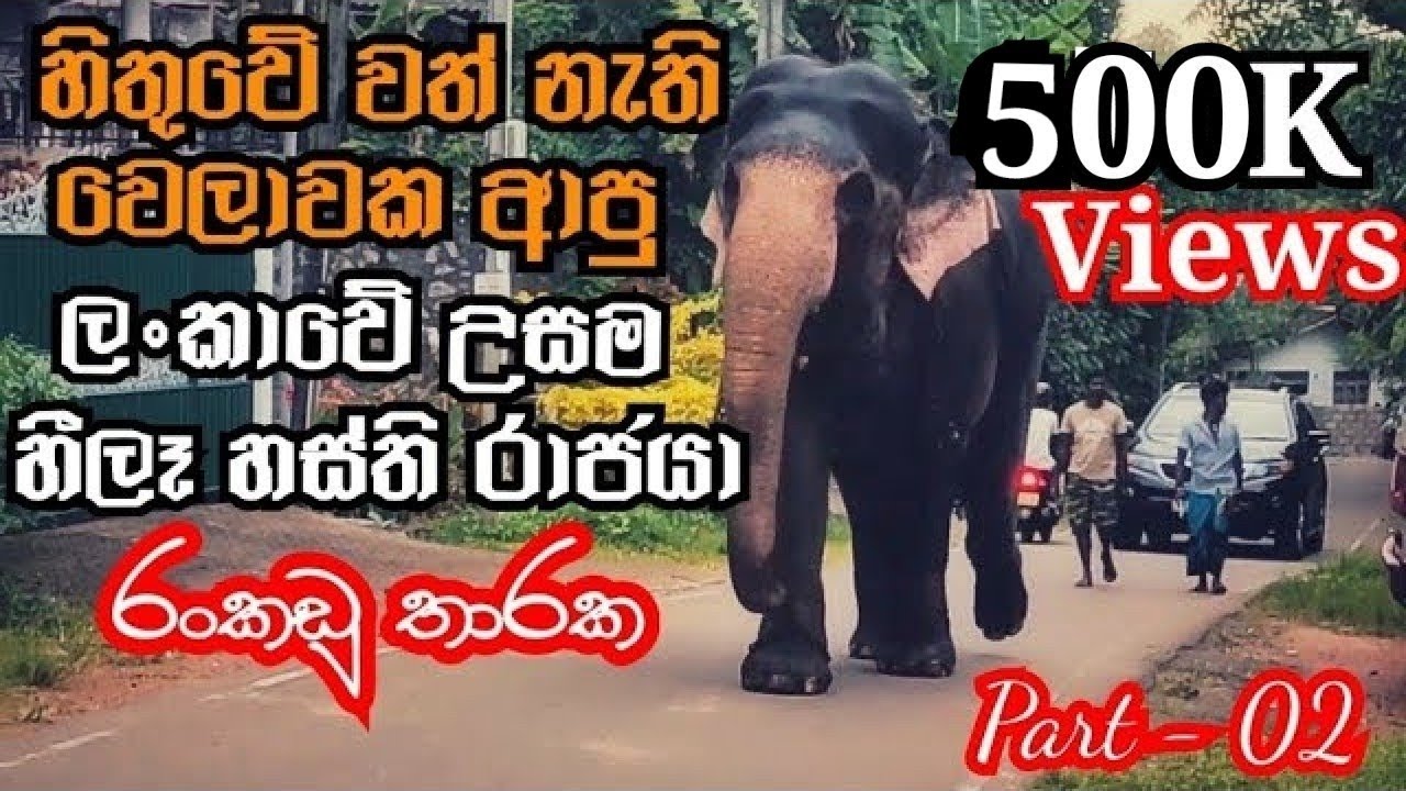 Rankadu Tharaka | ලංකාවේ උසම හීලෑ හස්තියා | අලි භීෂණේ 😋😋😋 | Part 02 #viralvideo #trending