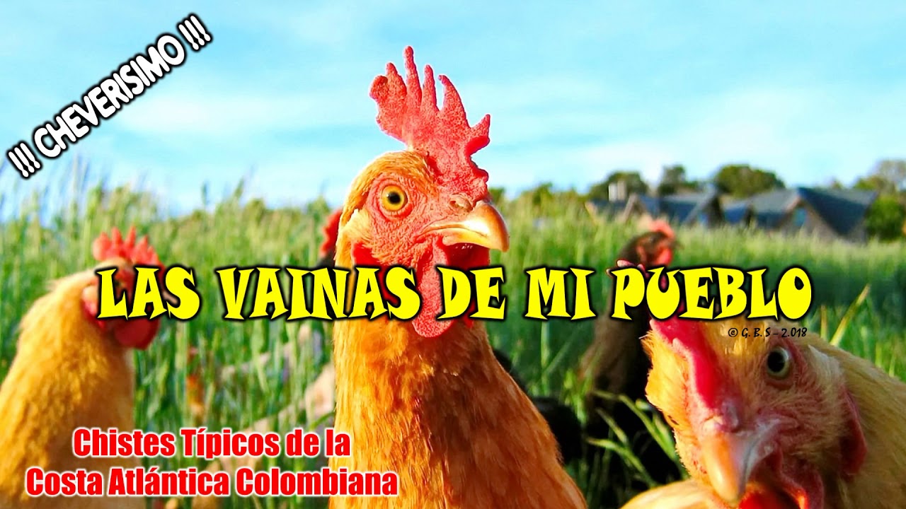 Las Vainas de mi Pueblo / Parte 2-3 / (Gonzalo Bolaño Stefanell)