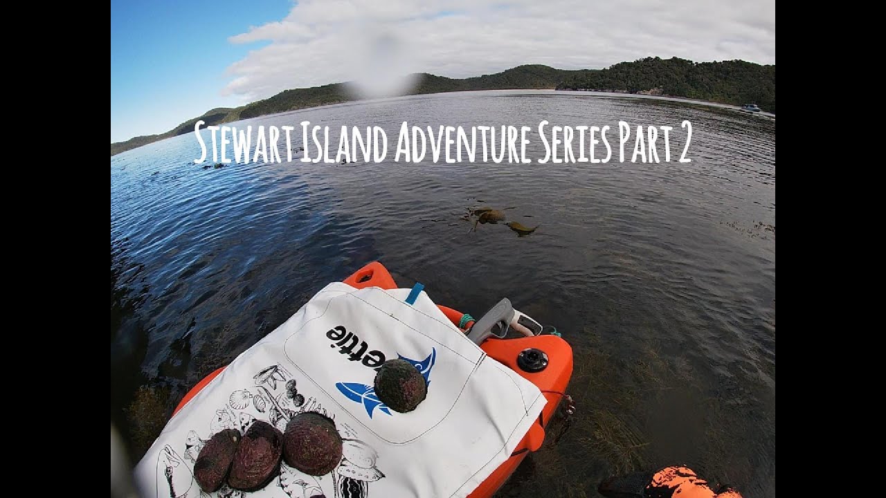 Ep35 Stewart Island Adventure series part 2 Diving for Paua & Kina, Oystering