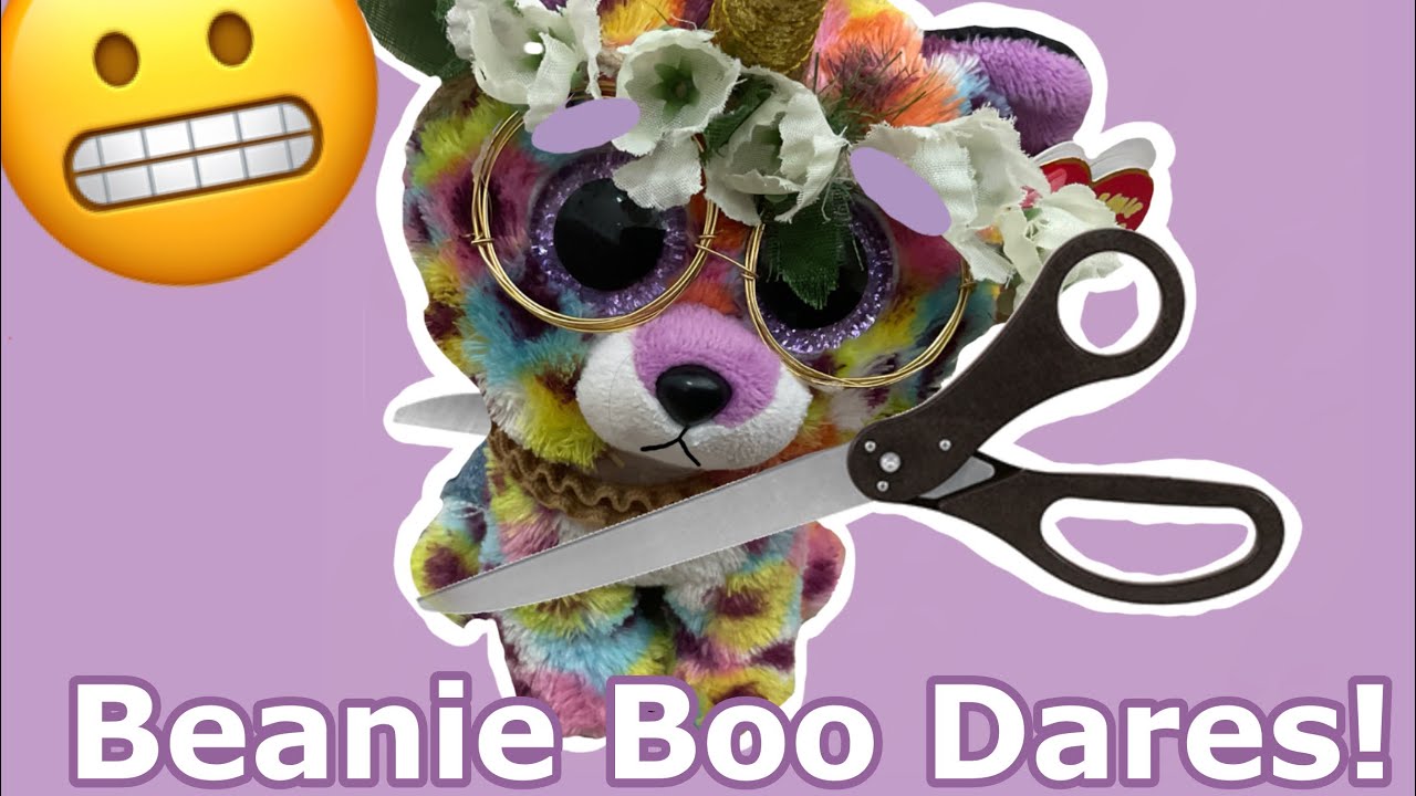 Beanie Boo Dares!