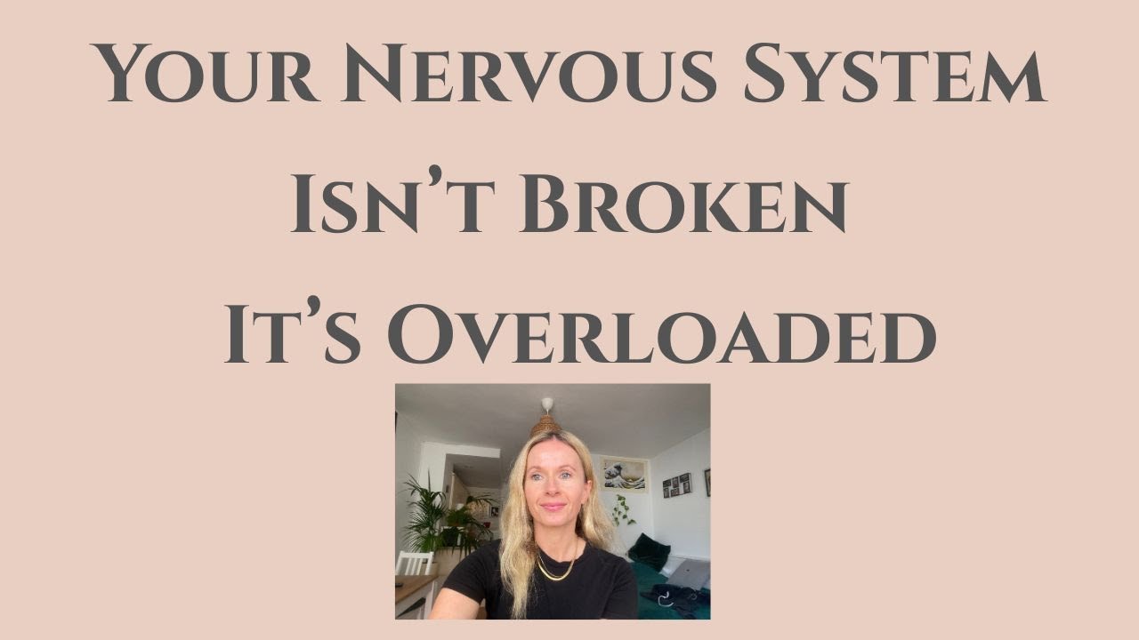 What the Human Nervous System Is Designed For (And Why Modern Life Overwhelms It)