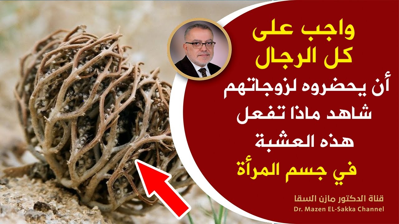 كوب عظيم يجب أن تشربه كل السيدات يعززهرمون الأنوثة يعالج أمراض النساء الشائعة | فوائد كف مريم الصحية