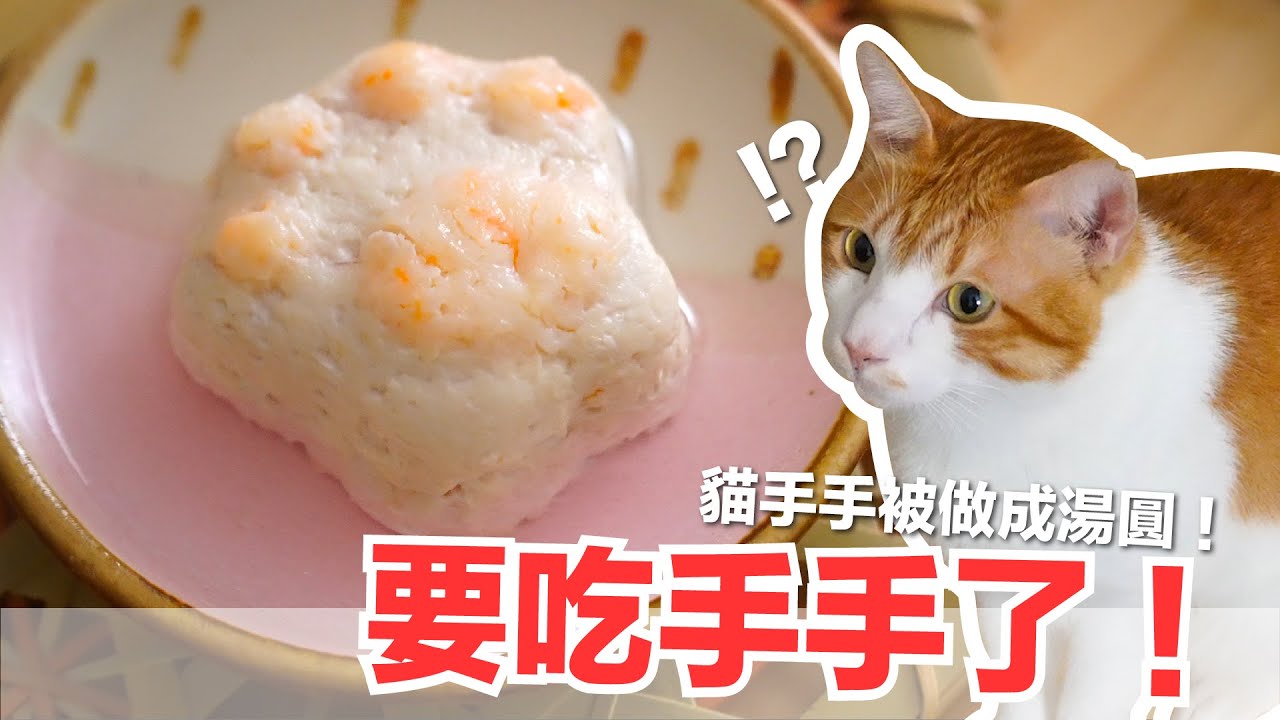 冬至的貓手手湯圓！群貓暴動！大家都長一歲～【貓副食食譜】貓鮮食廚房EP175