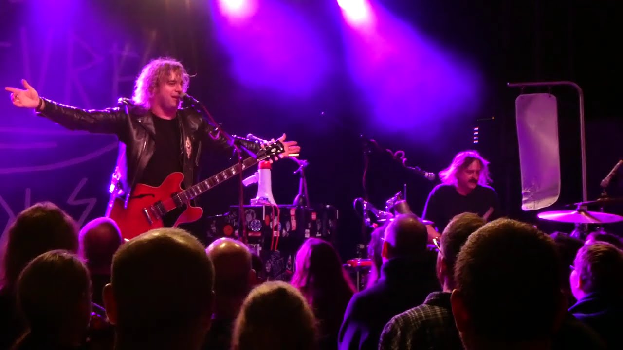 The Picturebooks - Back To LA - live, Munich 2025