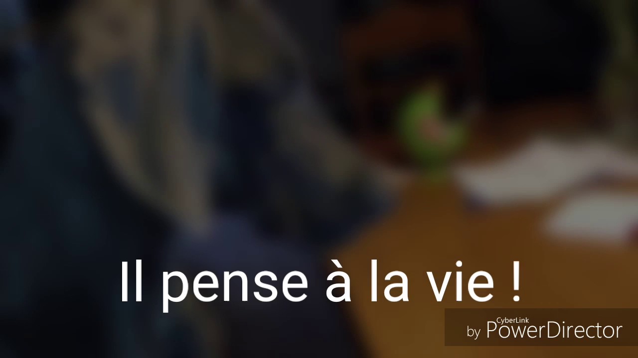 Compilation d'images drôles (vidéo courte)