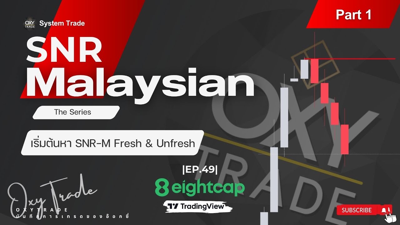SnR Malaysian เริ่มต้นหา MSNR Fresh & Unfresh  |EP.49| MSNR Series