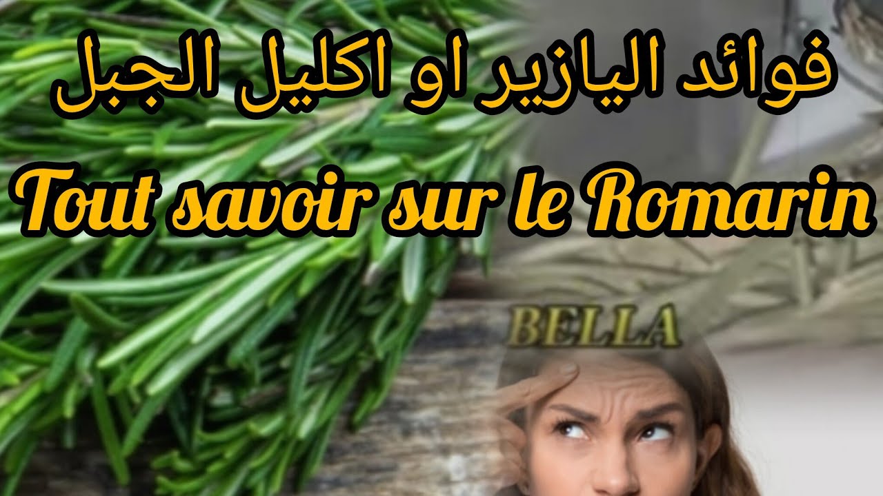 اكليل الجبل او اليازير ....معجزة من الطبيعة /عشبة وحدة تغير حياتك /يازير كنز طبيعي مهمل#جمال الصقلي 