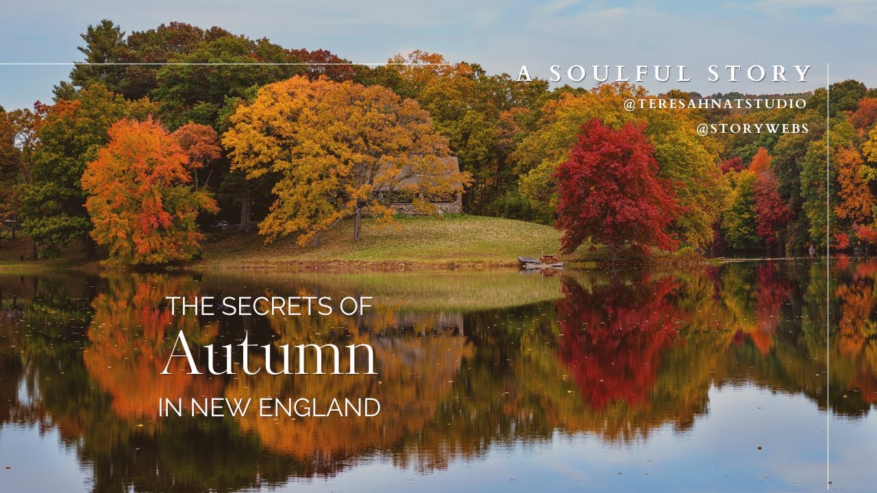 FALL IN NEW ENGLAND🍁 A HEARTWARMING, COZY, AUTUMN EXPERIENCE