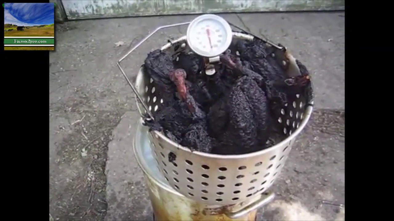 Turkey Disaster Compilation