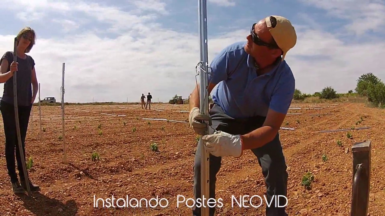 POSTE NEOVID PARA VIÑEDO EN ESPALDERA