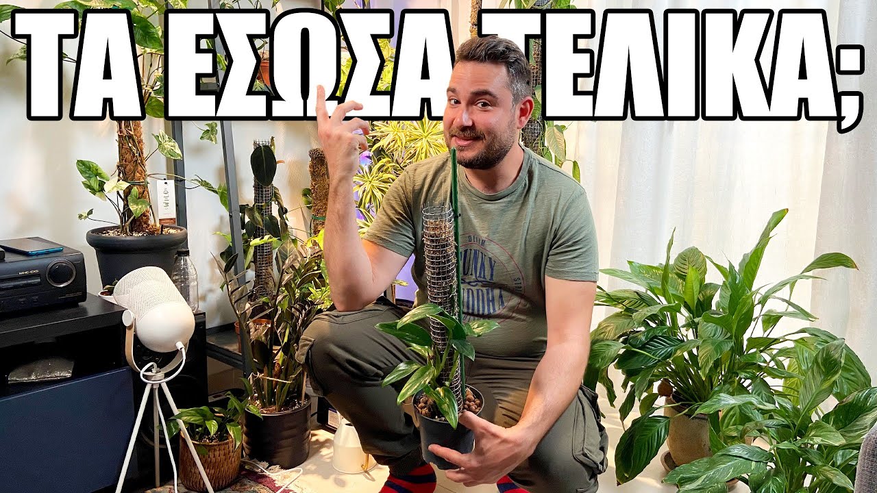 Πως είναι ΤΩΡΑ τα ΦΥΤΑ της συλλογής μου, κατάφερα να τα ΣΩΣΩ;;