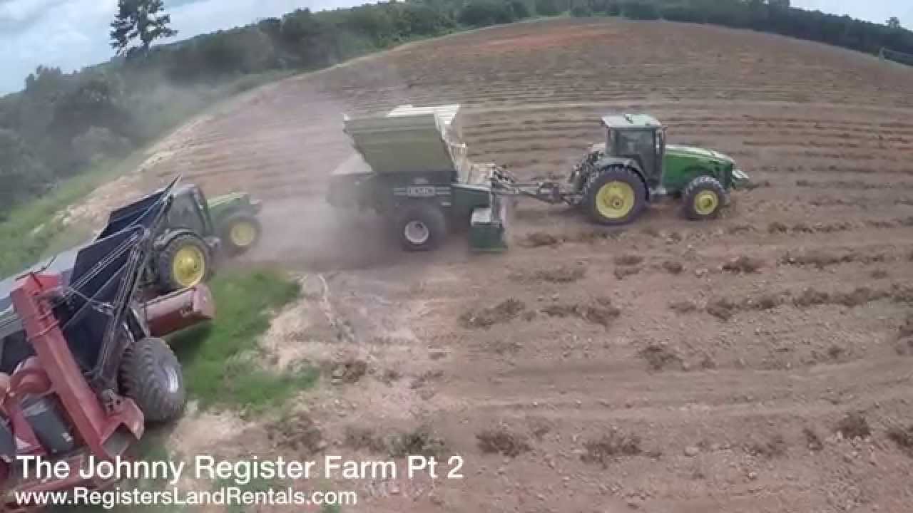 Harvesting Peanuts in South Ga