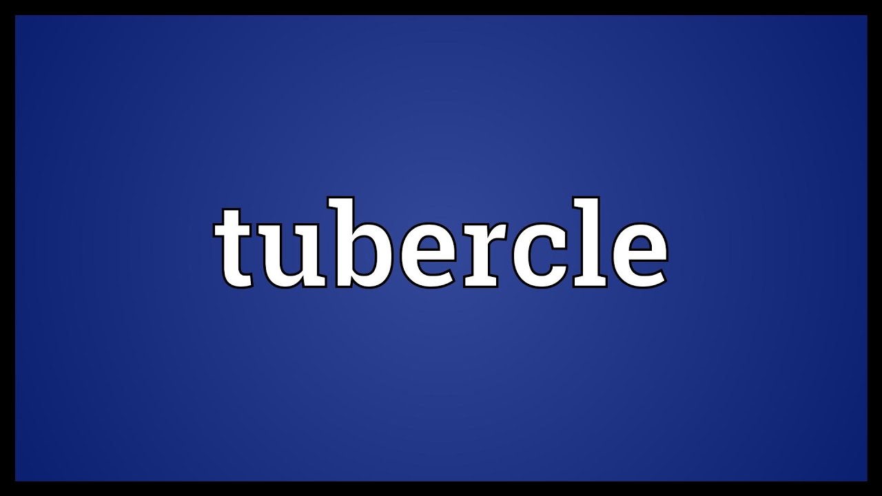 Tubercle Meaning