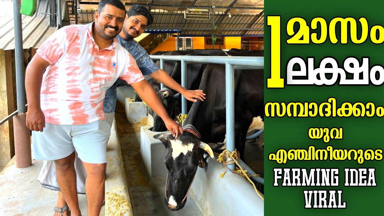 എനിക്ക് ബോസ്സ് ഞാൻ തന്നെ. നല്ല സമ്പാദ്യവും കിട്ടുന്നു. | Cow farming malayalam latest video