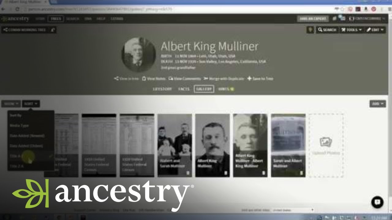 Using Media in Your Ancestry Family Tree | Ancestry
