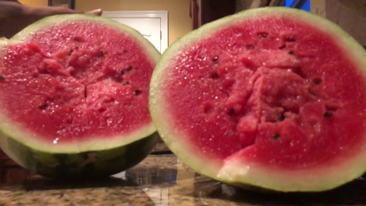 21 Pound Crimson Sweet Watermelon! Organic!