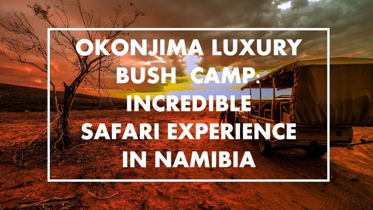 Okonjima LUXURY BUSH CAMP with incredible Safari in Otjiwarongo, Namibia