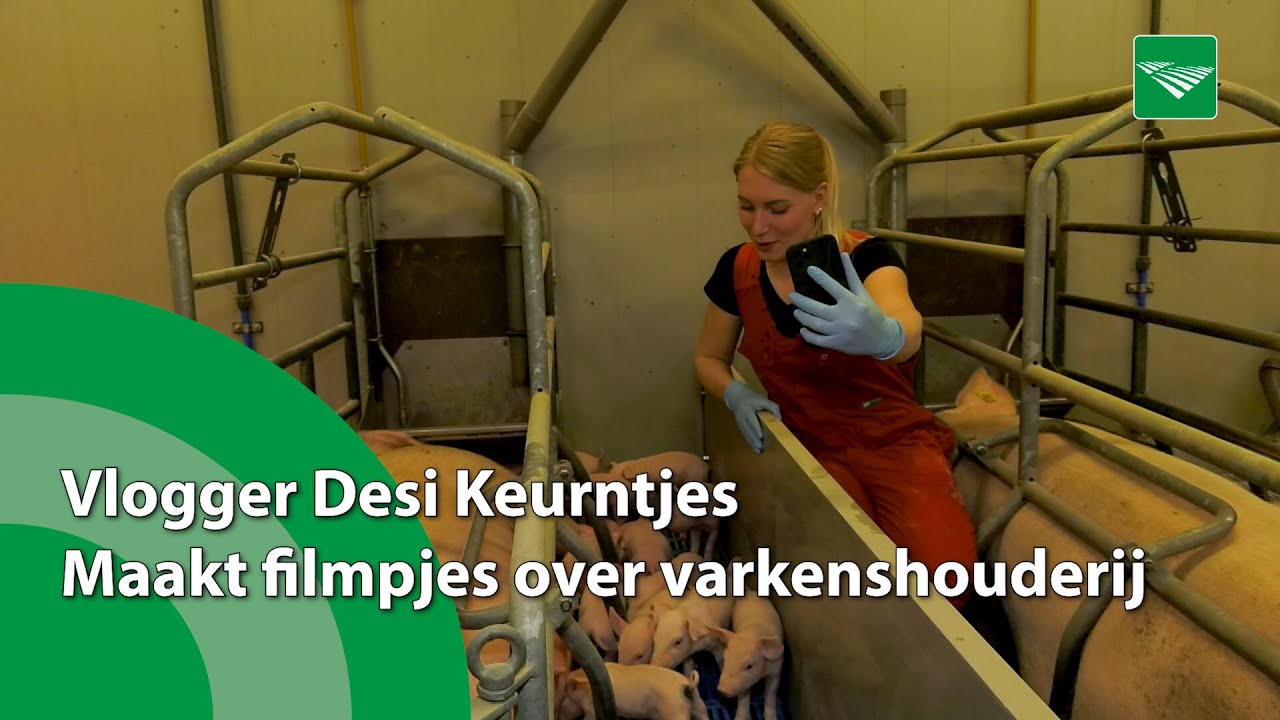 Vlogger scoort met filmpjes over varkenshouderij