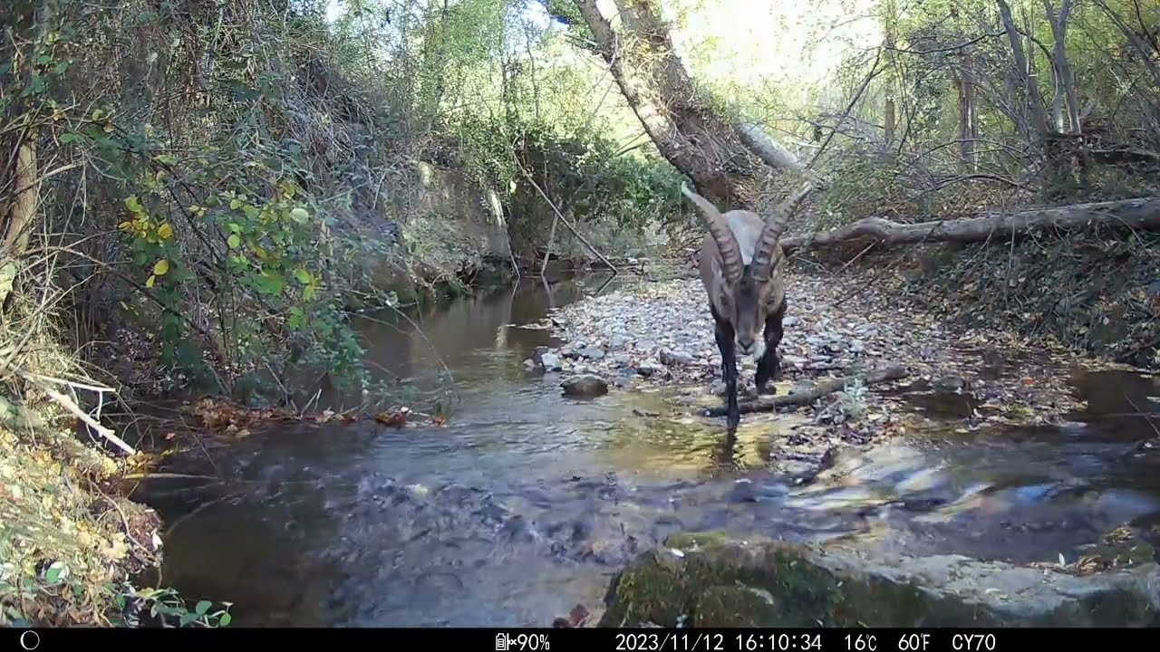 FOTOTRAMPEO. "Noviembre en el rio" parte 1. Vistabella (Zaragoza) 2023.