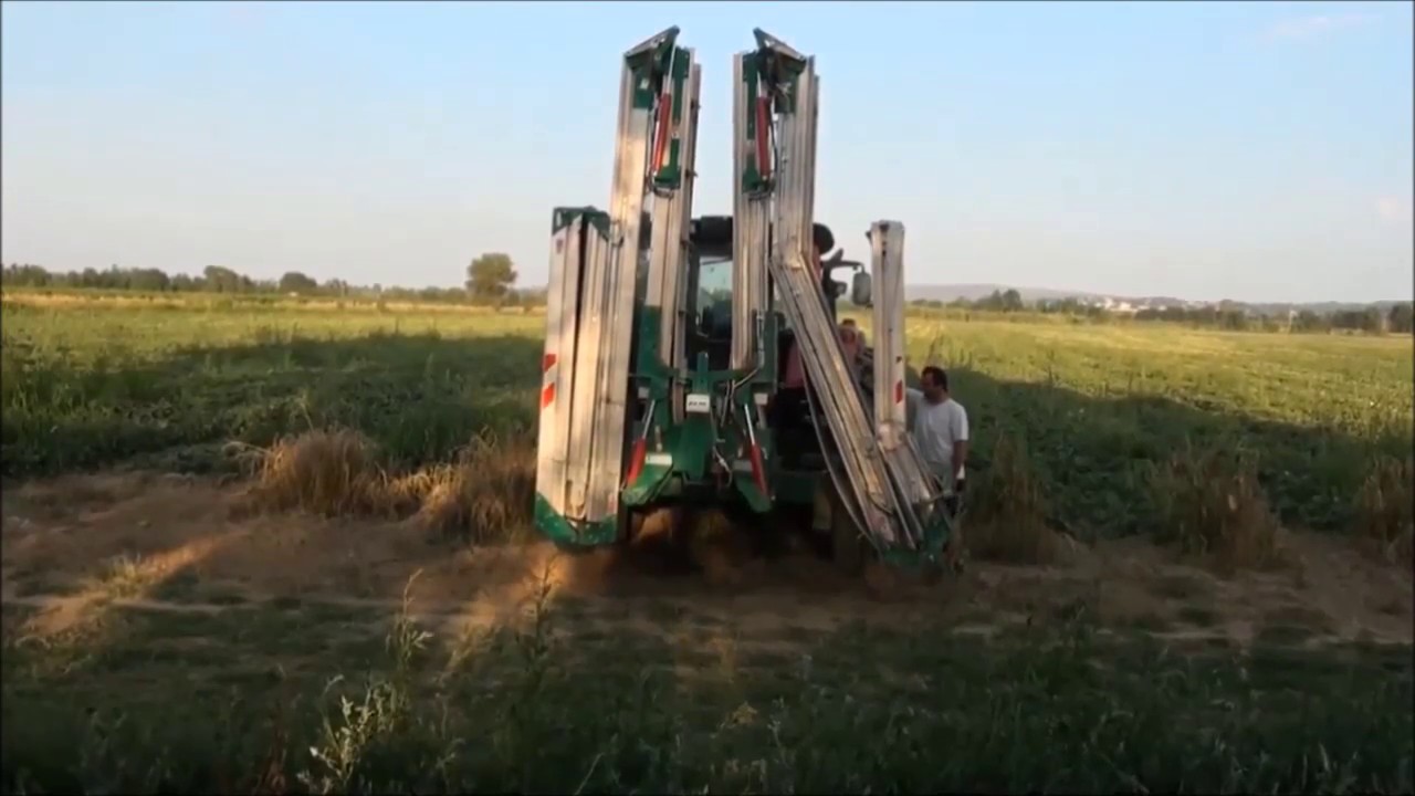 Banda transportoare de recoltat pepeni si varza