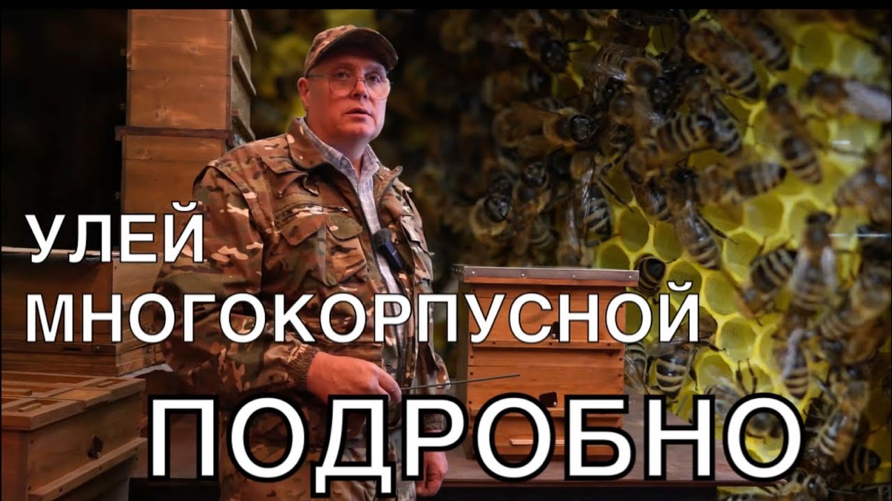 ПРОМЫШЛЕННОЕ ПЧЕЛОВОДСТВО. МНОГОКОРПУСНОЙ УЛЕЙ 