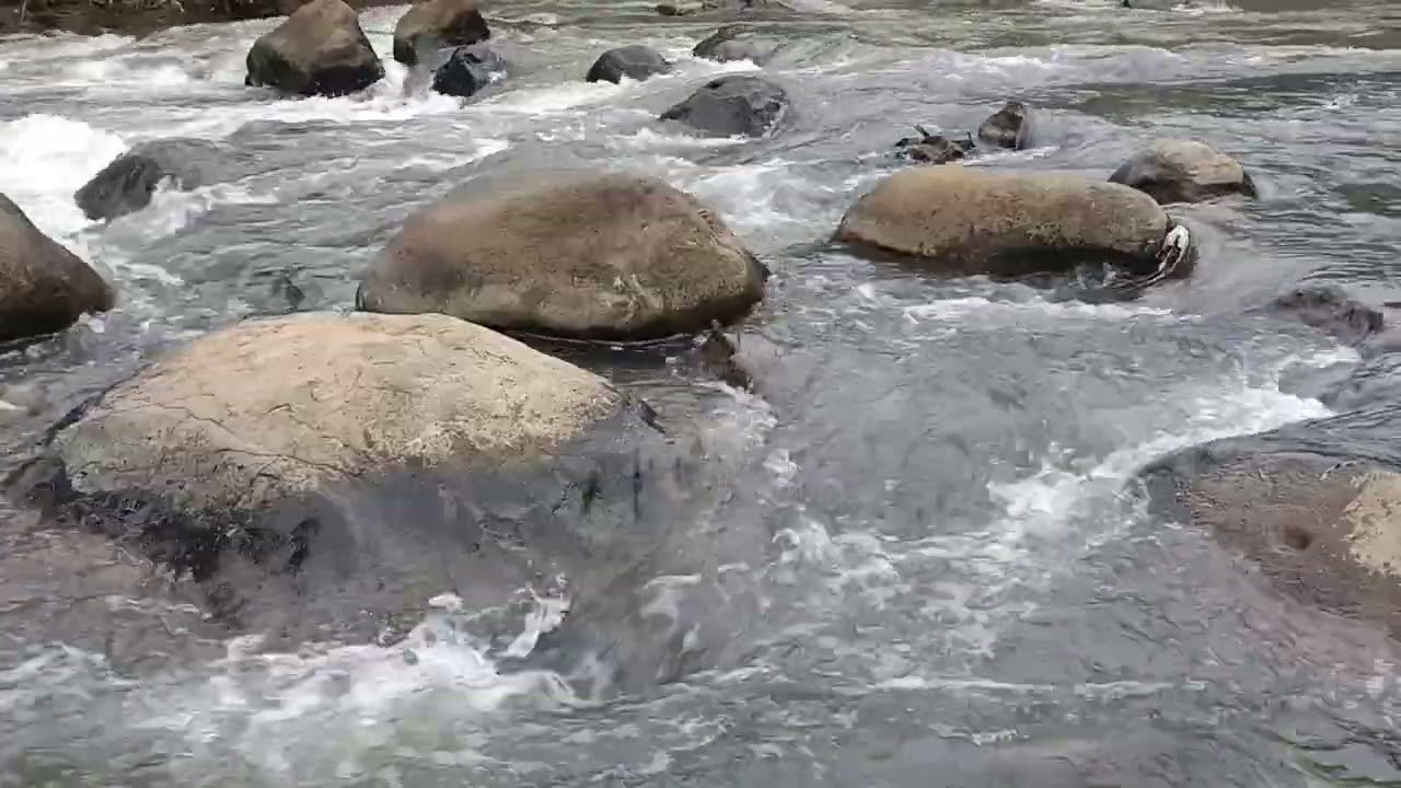 Focused Mind by the River