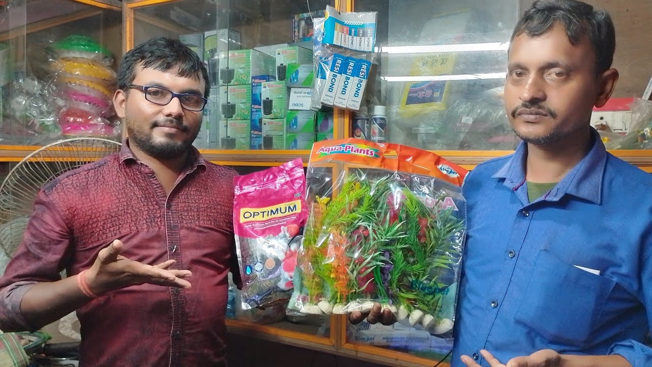 Aquarium fish shop|Low price colour fish|Diamond Harbour road colour fish shop 