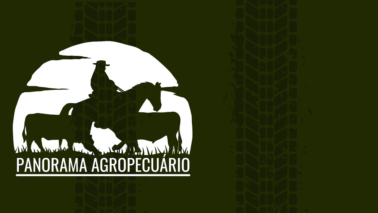 Panoroma Agropecuário | 28.02.26