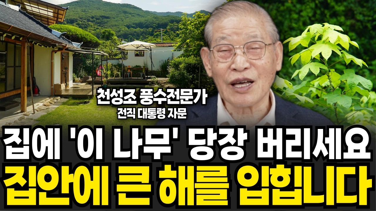 집안에 아무 나무나 들이면 큰일나는 이유 (천성조 풍수전문가 / 3부)