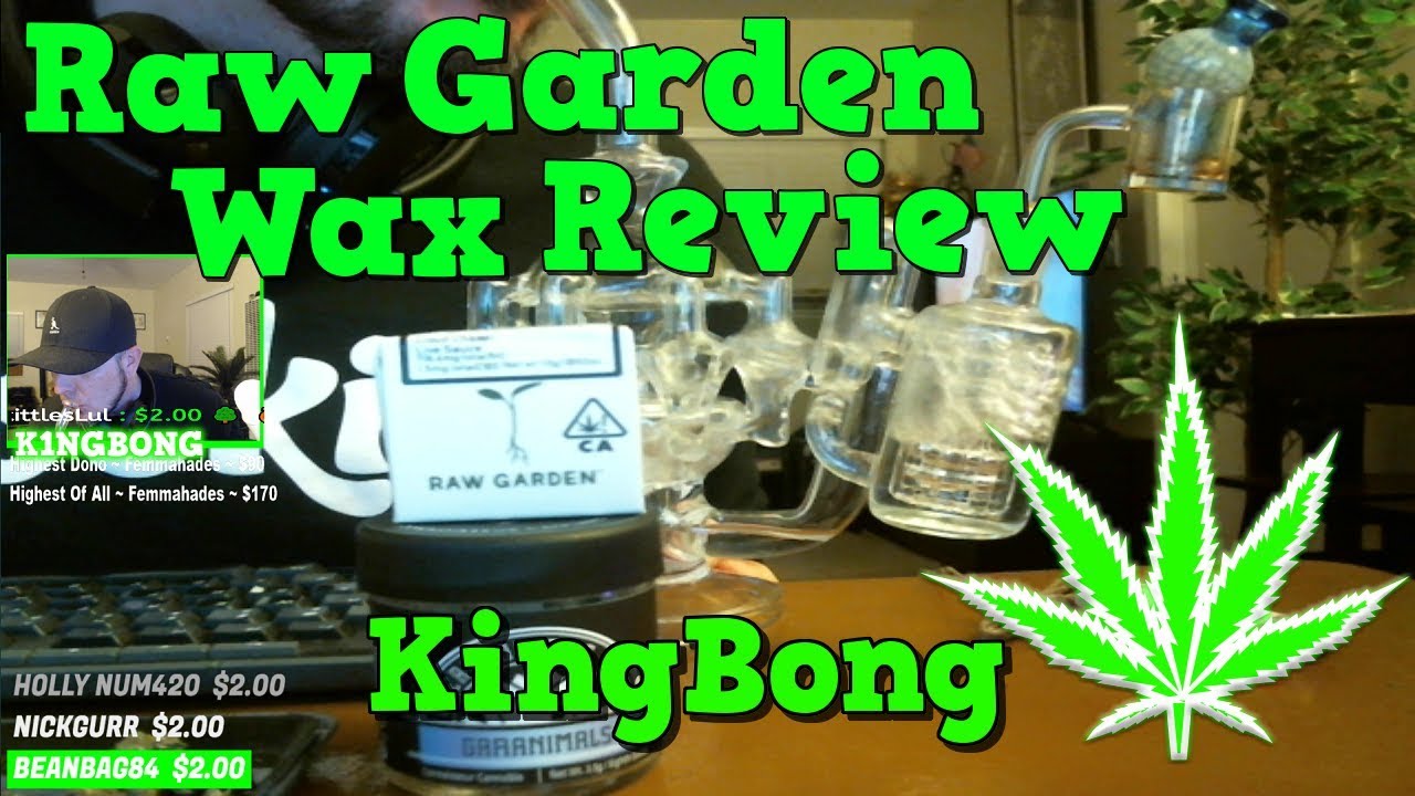 Raw Garden Cloud Chaser Live Sauce Wax 718.6mg THC Unboxing / Review 🌳 KingBong 420 taking Dabs