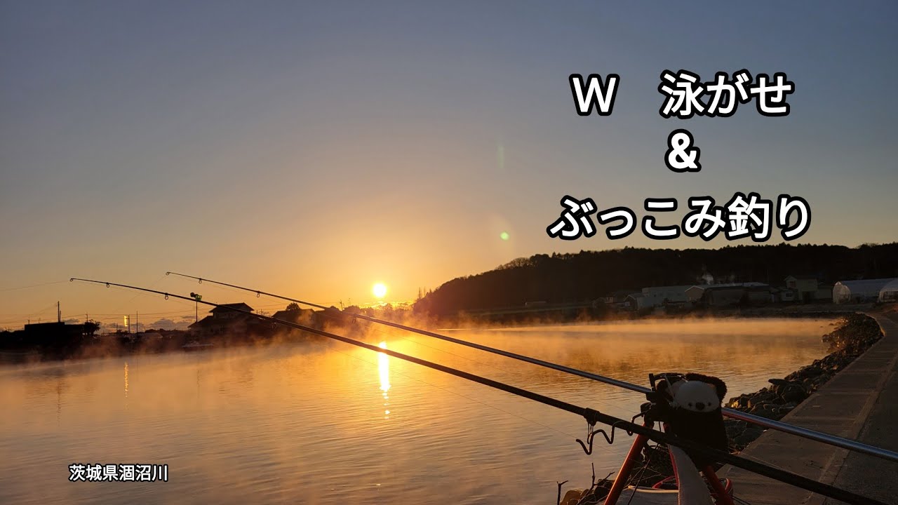 [　Ｗ　泳がせ　]　&　[　ぶっこみ釣り　]　茨城県涸沼川　#曲/人魚のラテ