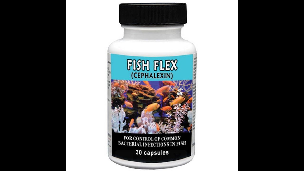 Fish Flex (Cephalexin)