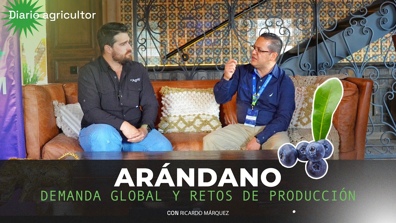 Arándano, demanda global y retos de producción | Ricardo Márquez | Diario Agricultor
