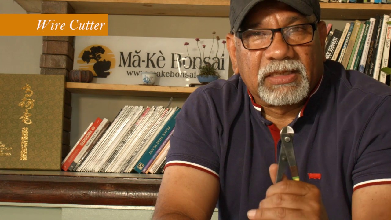 Bonsai Tools - Bonsai Repotting Tools - Bonsai Trees for Beginners Series #177