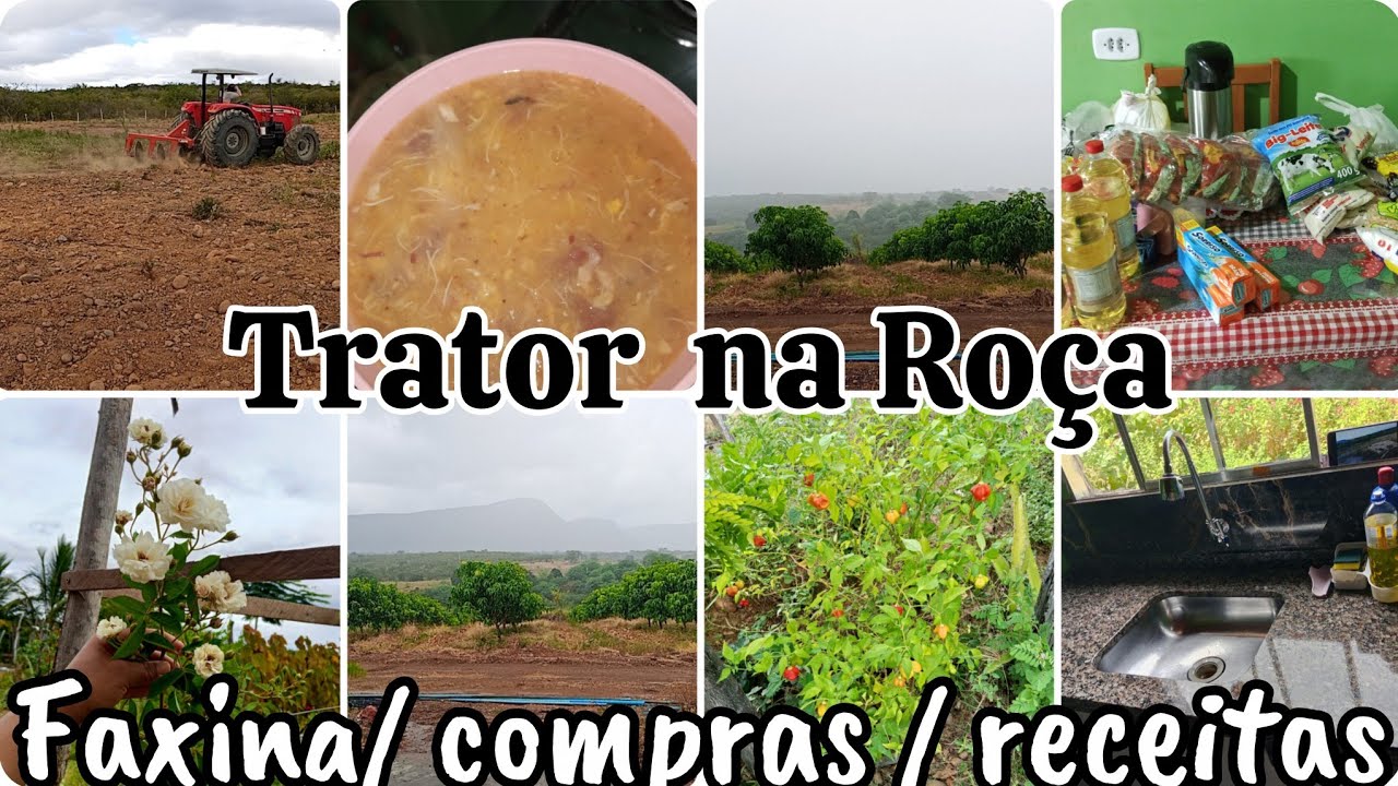 🚜 Vida simples no interior da Bahia ✨ Limpeza + trator + reposição