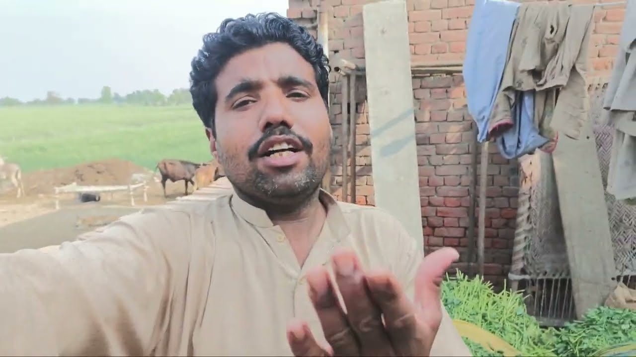 chacha Atna sasta katta sale q ker rha?😱