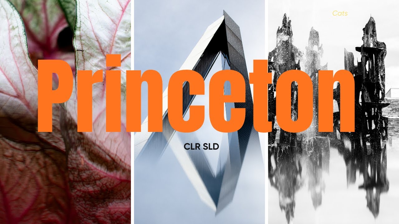 CLR SLD - Princeton